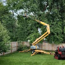 Best Tree Mulching  in Ovilla, TX