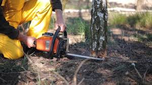 Best Lawn Maintenance Plans  in Ovilla, TX